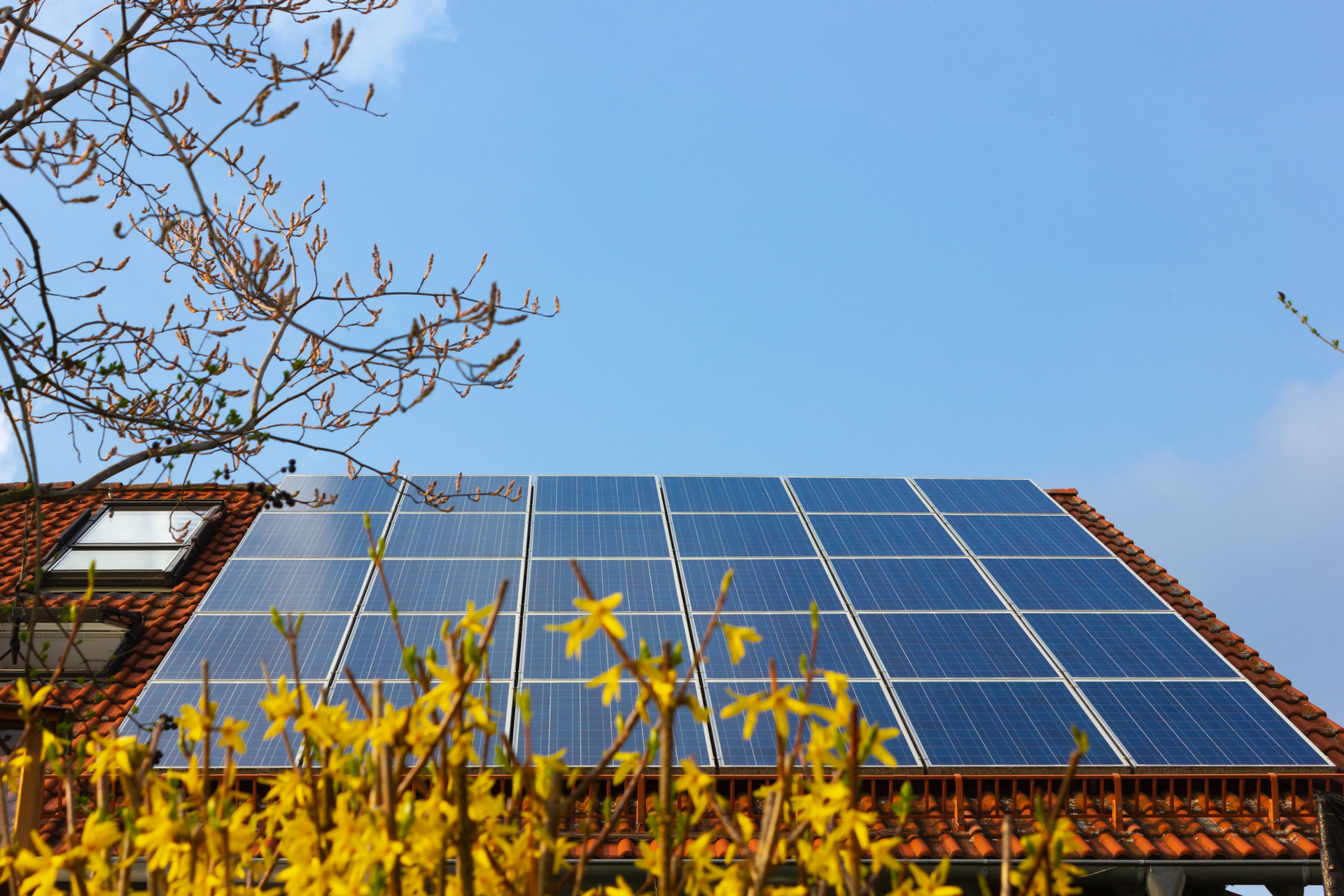 Dreamstime M 176295838 5f998a90e5117