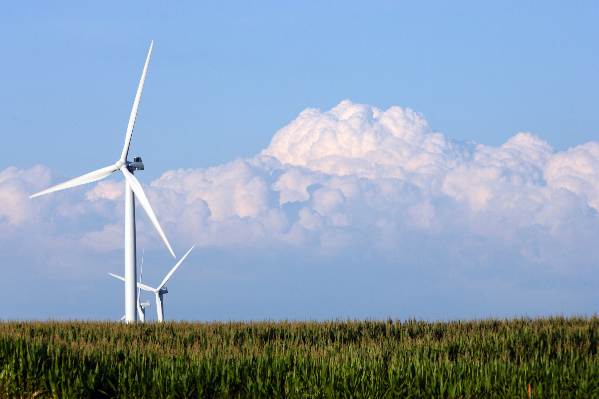 Getty Images 513681338 5fa2c077045c2