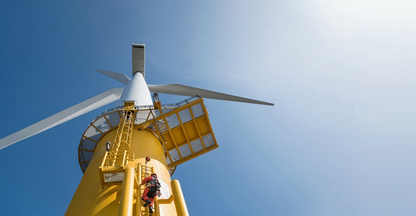 Picture1 5fa2c365ee9d7