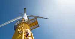 Picture1 5fa2c365ee9d7 Picture1 5fa2c365ee9d7