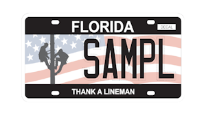 Lssc Thank A Lineman Plate