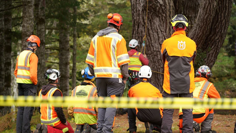Video Conferencing Program Trains Arborists and Utility Forestry Professionals | T&D World