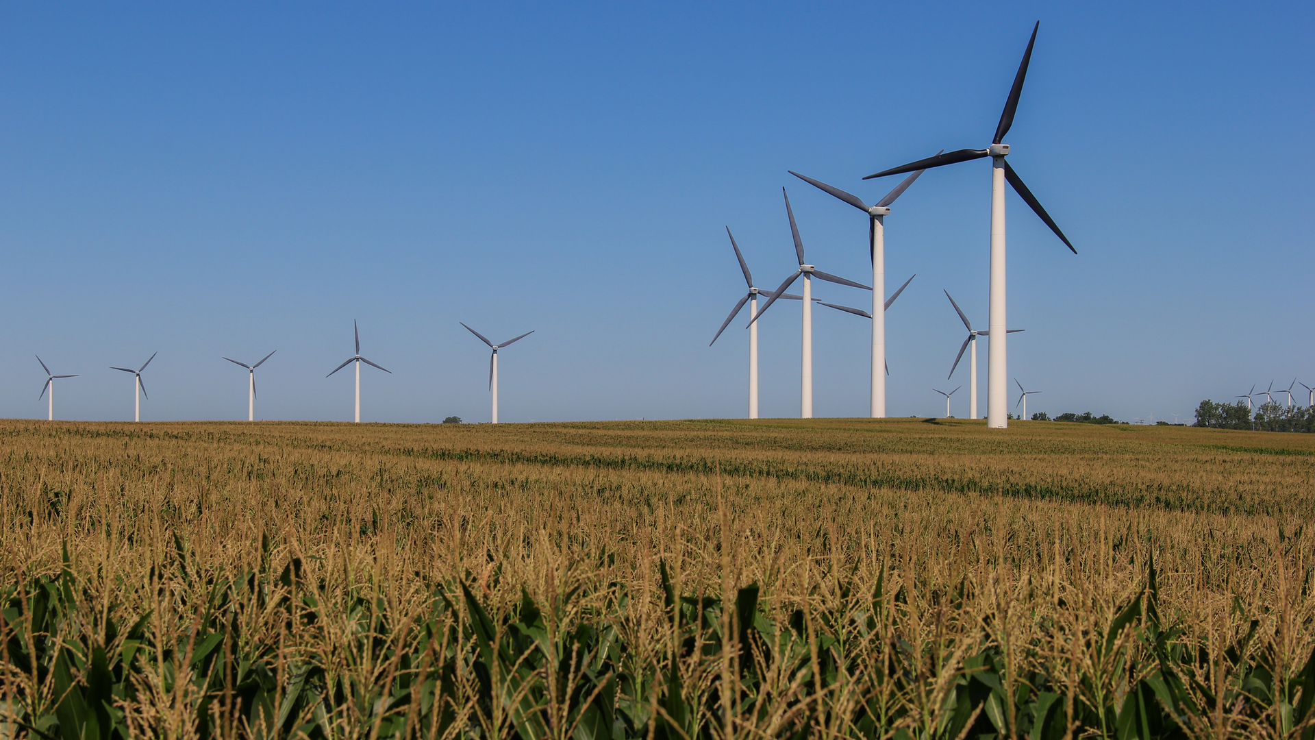 Featured Image 1 5fdc87ff2dbfc