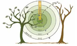 Overhang: A tree is found to have a branch overhanging up to 15 ft above a wire and within half a foot on either side of the wire | Fall in: A tree is found to have the potential to fall across the line based on proximity to wire and tree height. Overhang: A tree is found to have a branch overhanging up to 15 ft above a wire and within half a foot on either side of the wire | Fall in: A tree is found to have the potential to fall across the line based on proximity to wire and tree height.