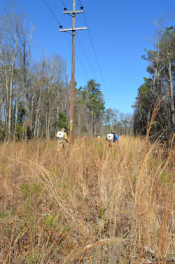 Incompatible plant communities can cause a variety of environmental and economic issues for utility companies. Incompatible plant communities can cause a variety of environmental and economic issues for utility companies.