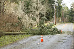 Dreamstime M 124577730 6000b0672ae2b Dreamstime M 124577730 6000b0672ae2b