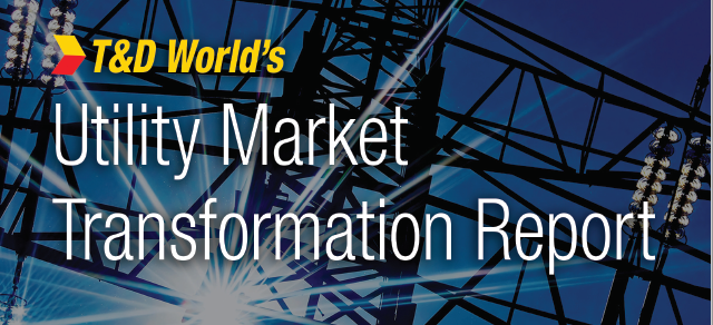 Report Cover 6013454354da2