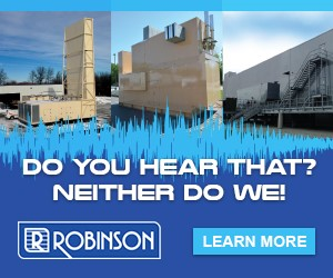 1613133869 Robinson De300x250 Banner Ad