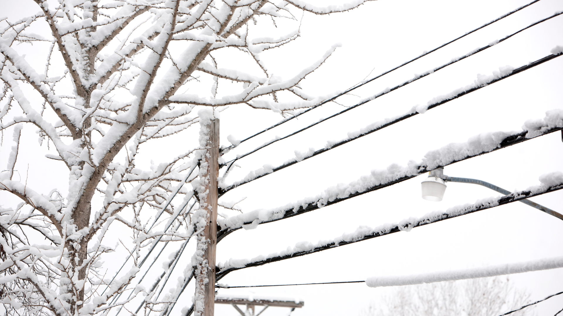 Getty Images 463375543 602a9d02a7dbf