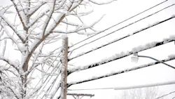 Getty Images 463375543 602a9d02a7dbf Getty Images 463375543 602a9d02a7dbf