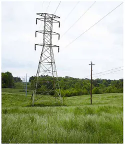 Selective herbicide applications can help re-establish native grasses and low-growing plant communities throughout utility right-of-way corridors. Selective herbicide applications can help re-establish native grasses and low-growing plant communities throughout utility right-of-way corridors.
