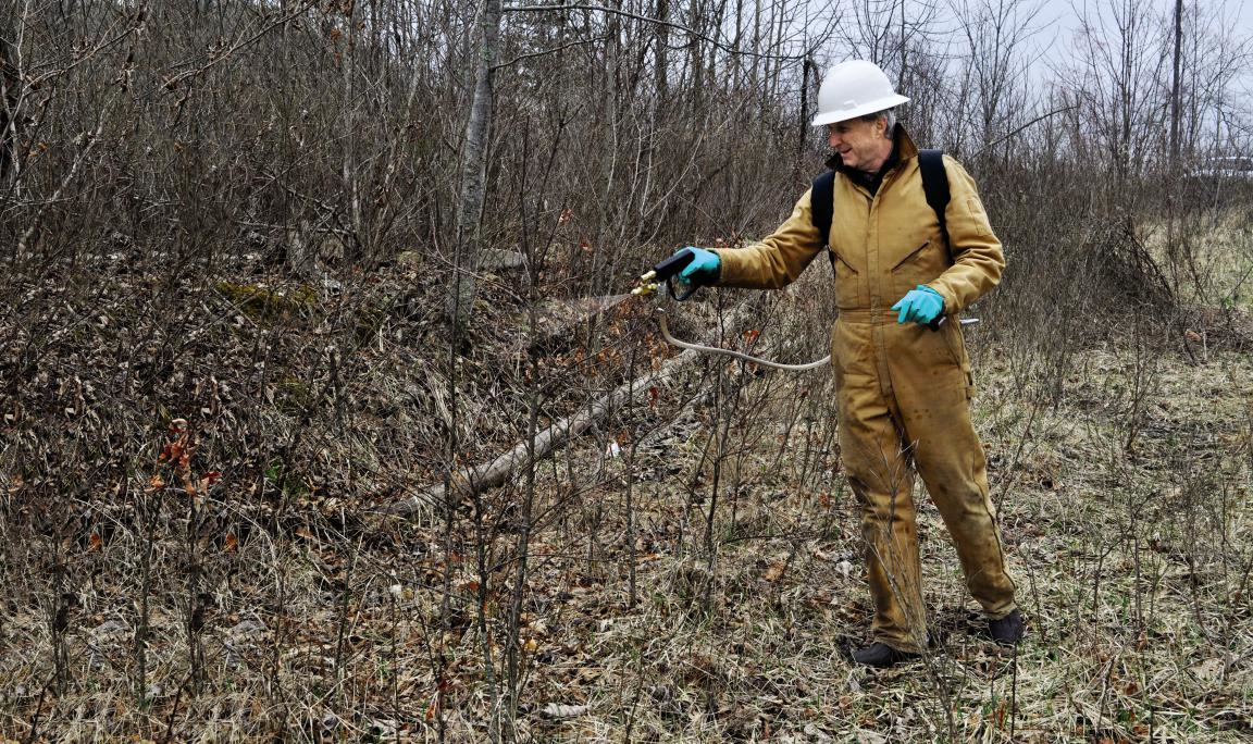 Lv Dormant Stem 6 1 602c64bd53ef9