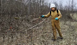 Lv Dormant Stem 6 1 602c64bd53ef9 Lv Dormant Stem 6 1 602c64bd53ef9