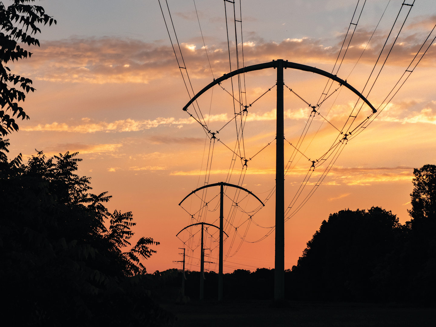 BOLD is a compact, high-capacity transmission line designed for increased power transfer.