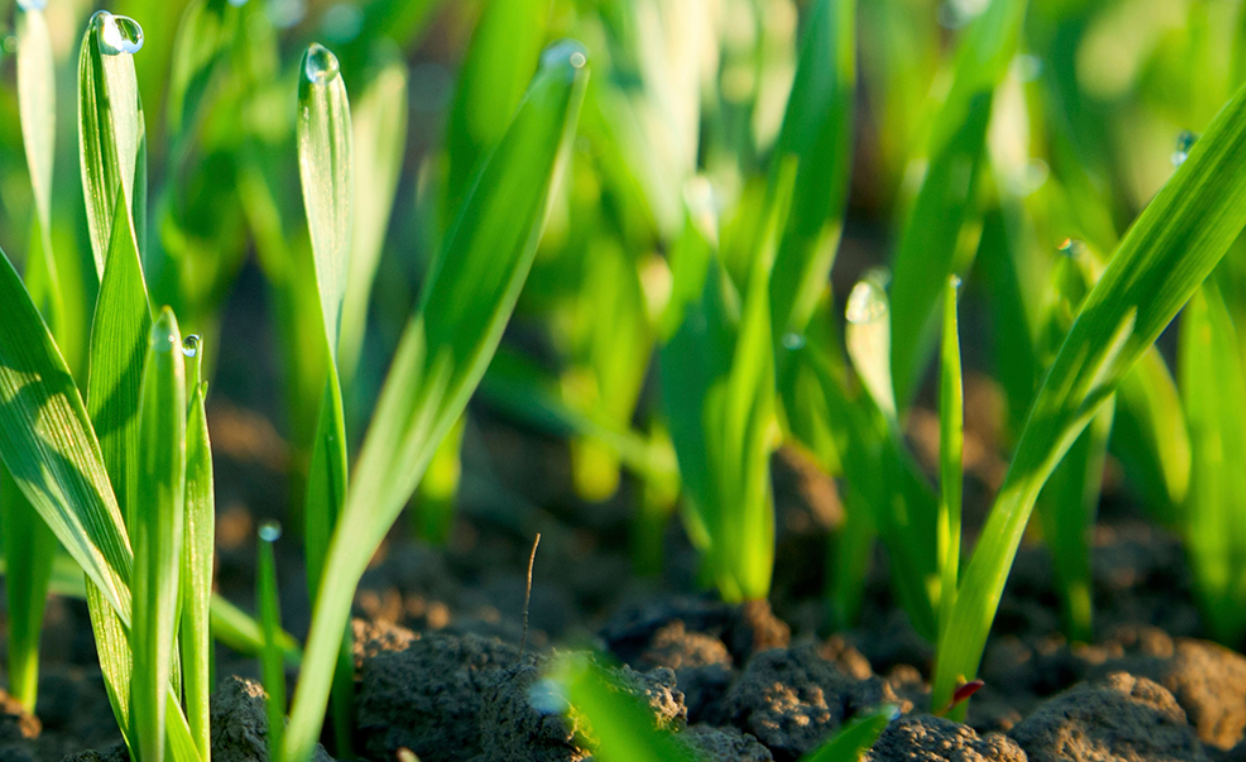 Screen Shot 2021 03 08 At 7 47 57 Am 60462b1b10855