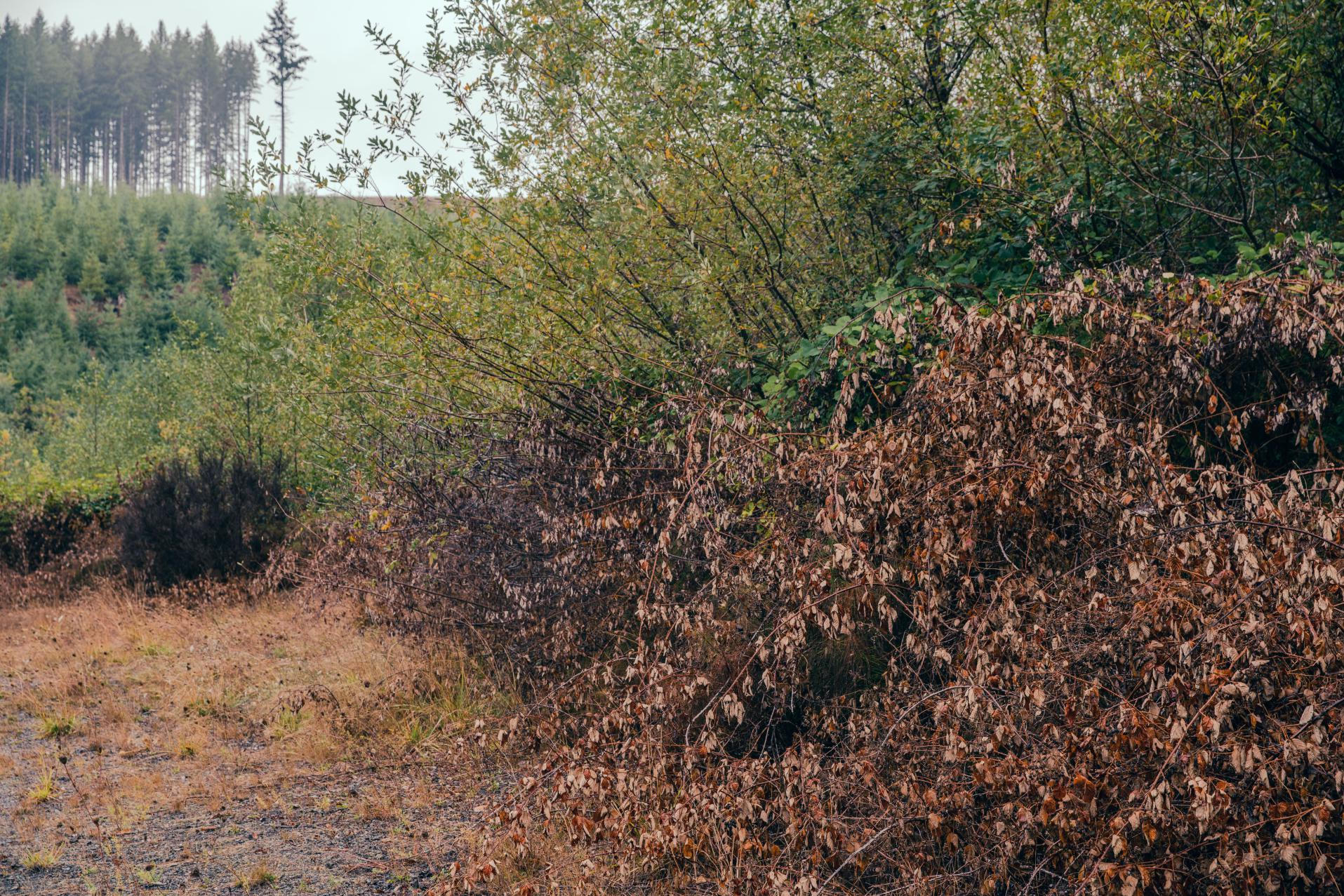 Dsc04630 6075af134b48b