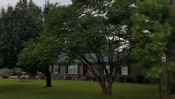 The tree to the left is a Bradford Pear treated with TGR and is holding well. The darker leaf color is indicative of TGR treatment. The tree to the left is a Bradford Pear treated with TGR and is holding well. The darker leaf color is indicative of TGR treatment.