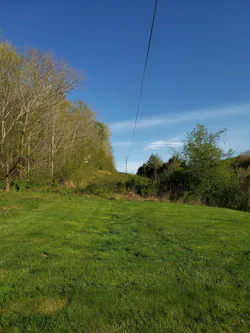 These images represent how MTE intentionally let an unmaintained portion of its ROW grow up into grasses and forbs, not mowing down close to the ground. The mowed sections are on homeowner property. The tall grass depicts a clean ROW floor that keeps undesired saplings suppressed. These images represent how MTE intentionally let an unmaintained portion of its ROW grow up into grasses and forbs, not mowing down close to the ground. The mowed sections are on homeowner property. The tall grass depicts a clean ROW floor that keeps undesired saplings suppressed.