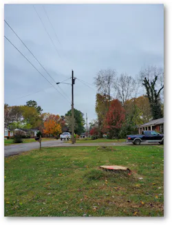 The removal in the foreground of this image was requested by a cooperative member, while the background depicts how MTE used a lateral pruning method. The removal in the foreground of this image was requested by a cooperative member, while the background depicts how MTE used a lateral pruning method.