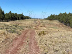 Initial ROW treatment called for easement width mowing. A follow-up herbicide treatment was used to treat incompatible plants growing back into the ROW such as ponderosa pine seedlings. Initial ROW treatment called for easement width mowing. A follow-up herbicide treatment was used to treat incompatible plants growing back into the ROW such as ponderosa pine seedlings.