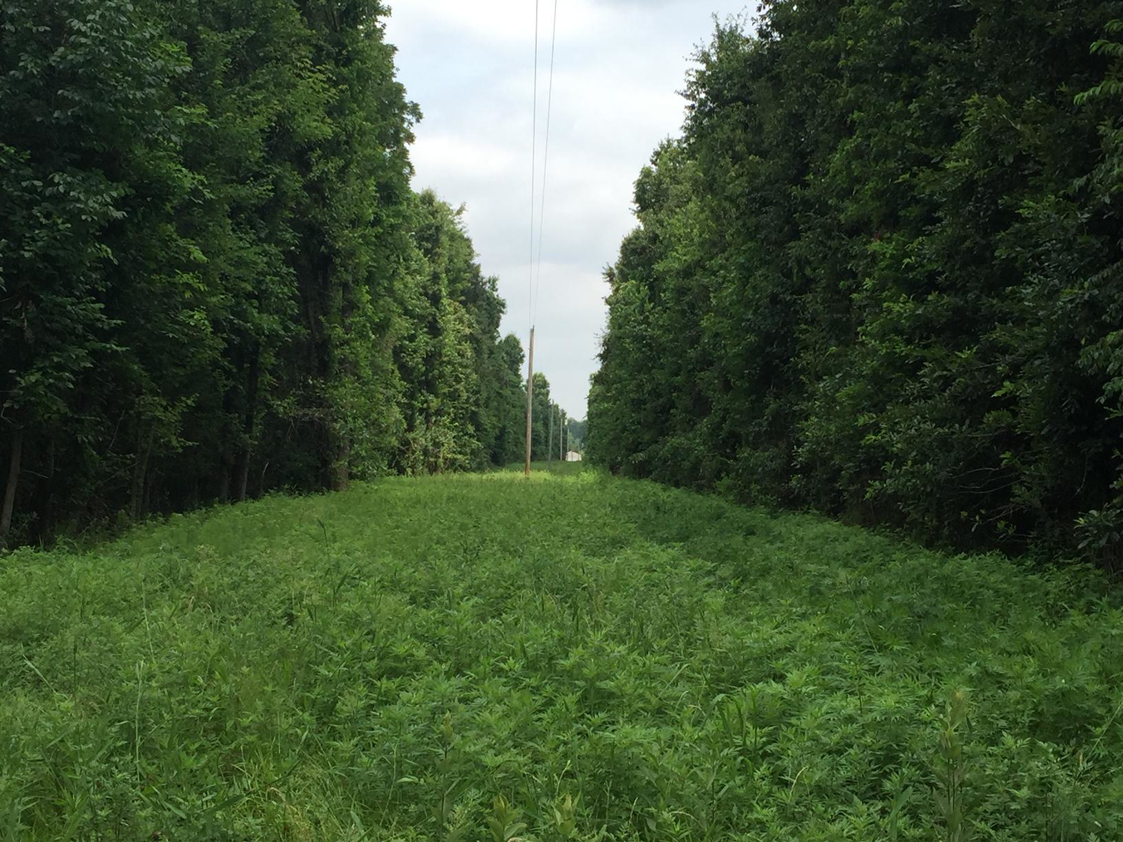 Img 3743 60fef3e1ac0c0