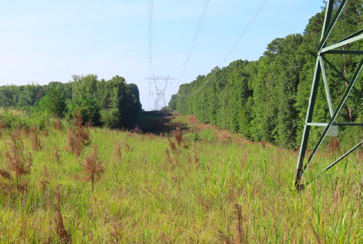 Terra Vue90 Dat 2 60fef0f559709