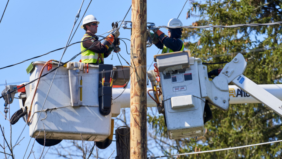 Potomac 6127741f63553