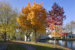 Dreamstime Xl 132236514 61390e85aba4e Dreamstime Xl 132236514 61390e85aba4e