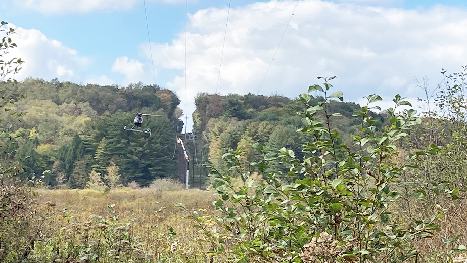 Penelec Eagles 617bf8c2eddd5