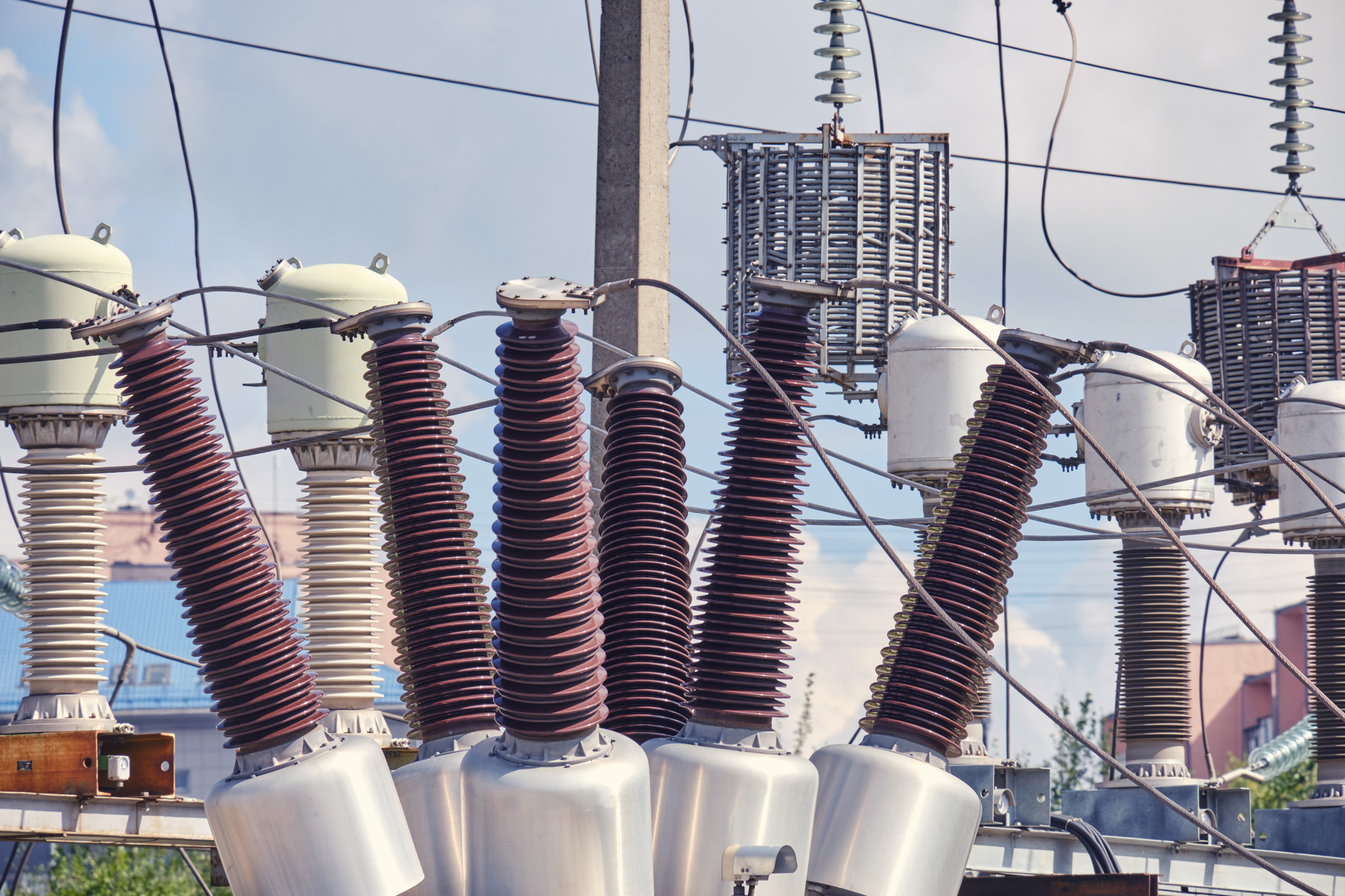 Andrey Zhuravlev Dreamstime