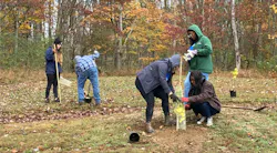 Mp Tree Planting 940x520 619bf19bac119 Mp Tree Planting 940x520 619bf19bac119