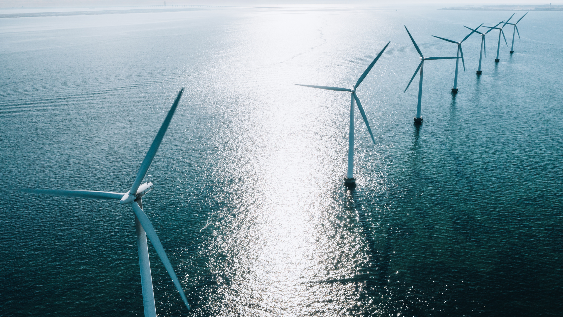 Con Renwable 61af291bc2913