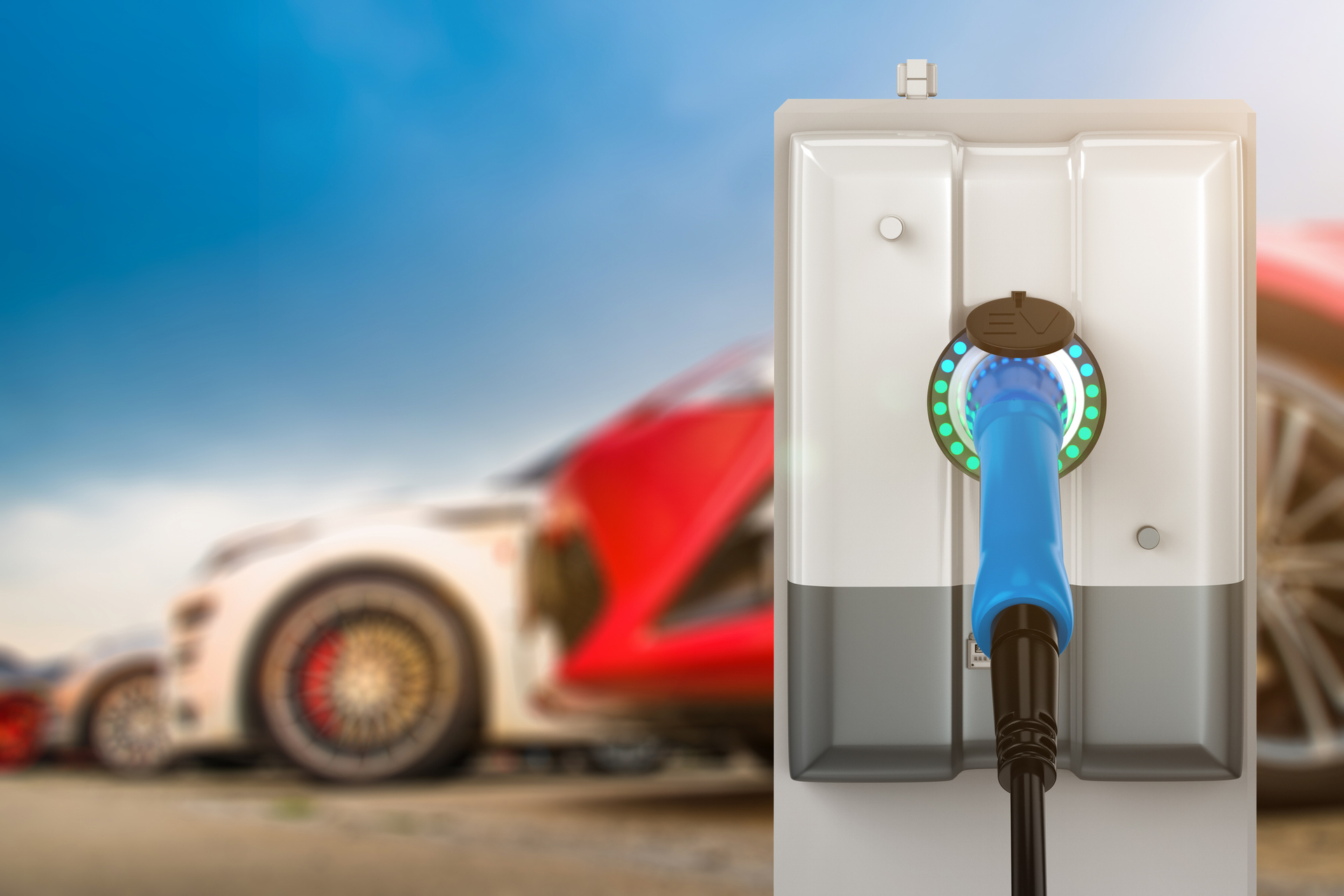 Doe Dot 61bb425aacfc4