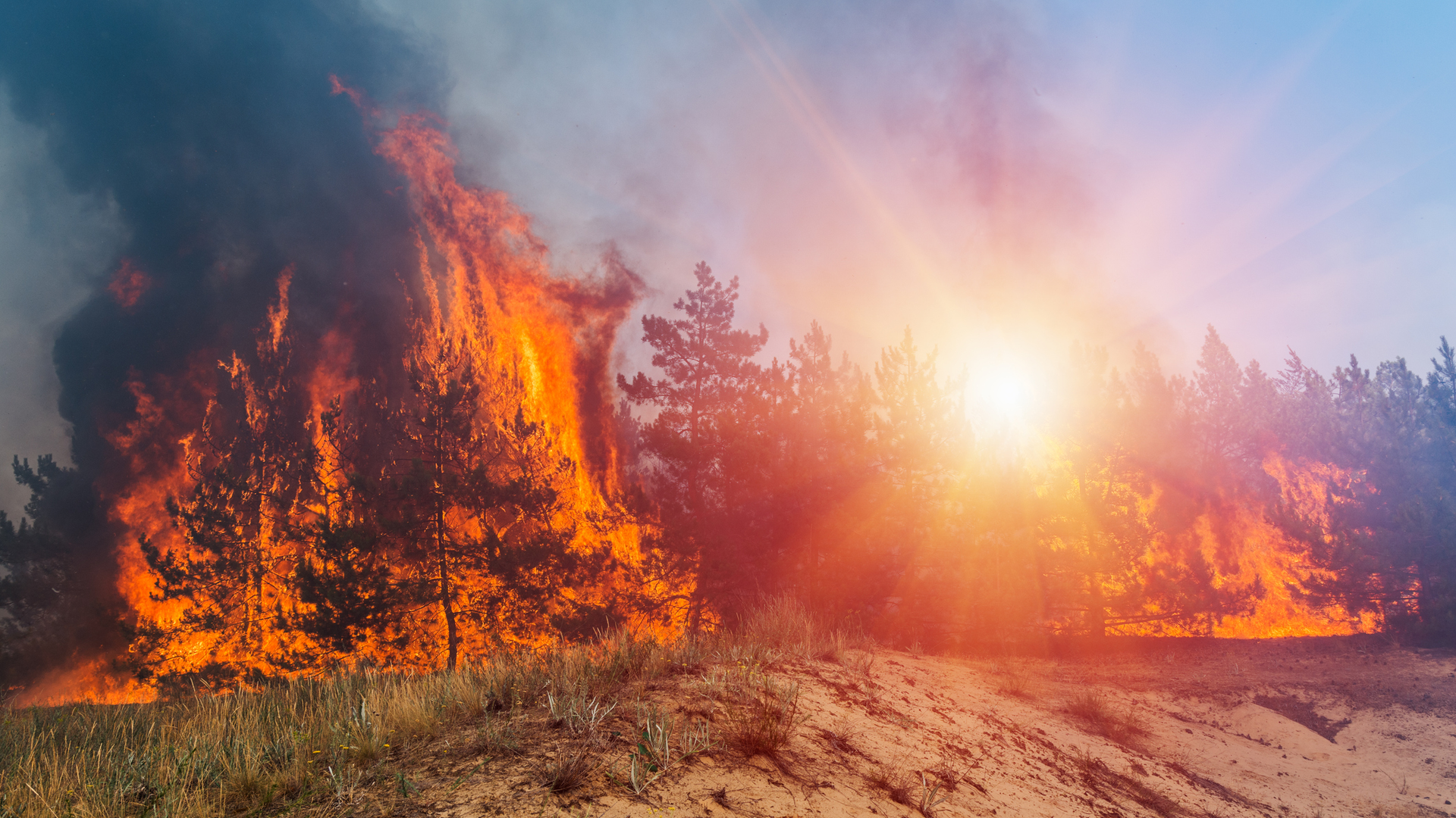 Getty Images 1047410238 61ddaded5dff4