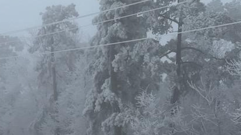 Entergy Ark Ice 621935534e9e1