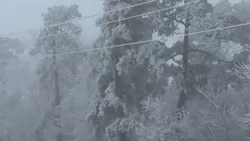 Entergy Ark Ice 621935534e9e1 Entergy Ark Ice 621935534e9e1