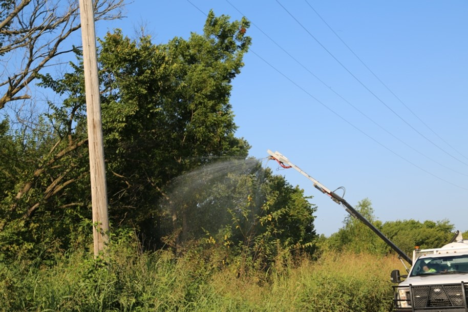 Picture3 6213c147b7908