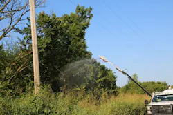 Picture3 6213c147b7908 Picture3 6213c147b7908