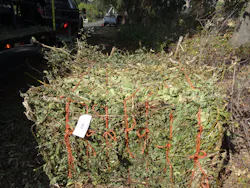 Completed bale with mix of oak and walnut trimmings. Completed bale with mix of oak and walnut trimmings.