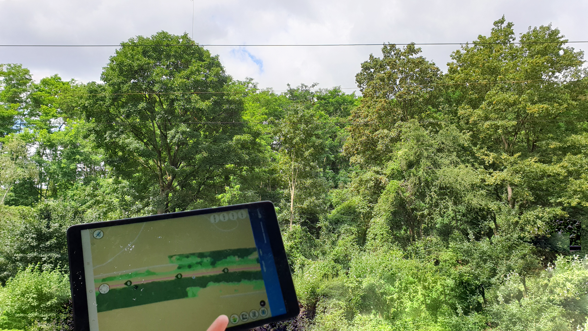 Satellite Analytics Platforms provide situational awareness about vegetation condition remotely and in the field thanks to mobile apps.