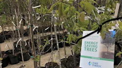 News Release Sc Trees Mid Mid 6255a064a0fcf News Release Sc Trees Mid Mid 6255a064a0fcf