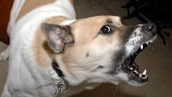 Getty Images 482488111 6287e75208da6 Getty Images 482488111 6287e75208da6