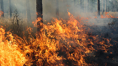 Ready For Wildfire Season 627a3e8fa6efd