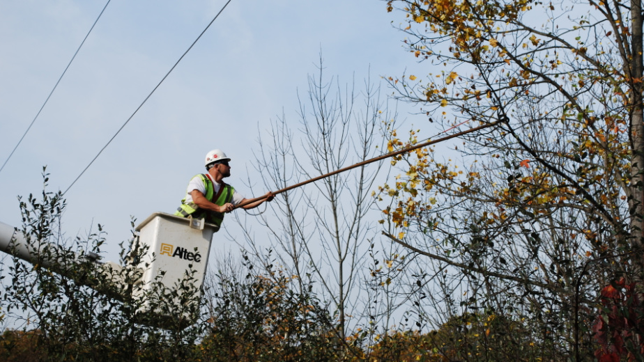 Te Veg Management 6279d111e5dbc