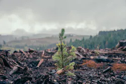 Dsc04325 62a8f5d730e57 Dsc04325 62a8f5d730e57