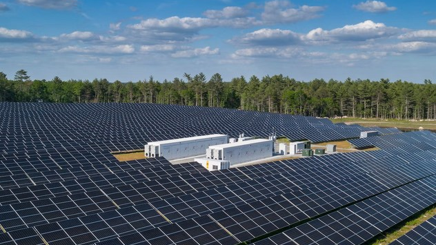 Borrego 631f5ad25a81b