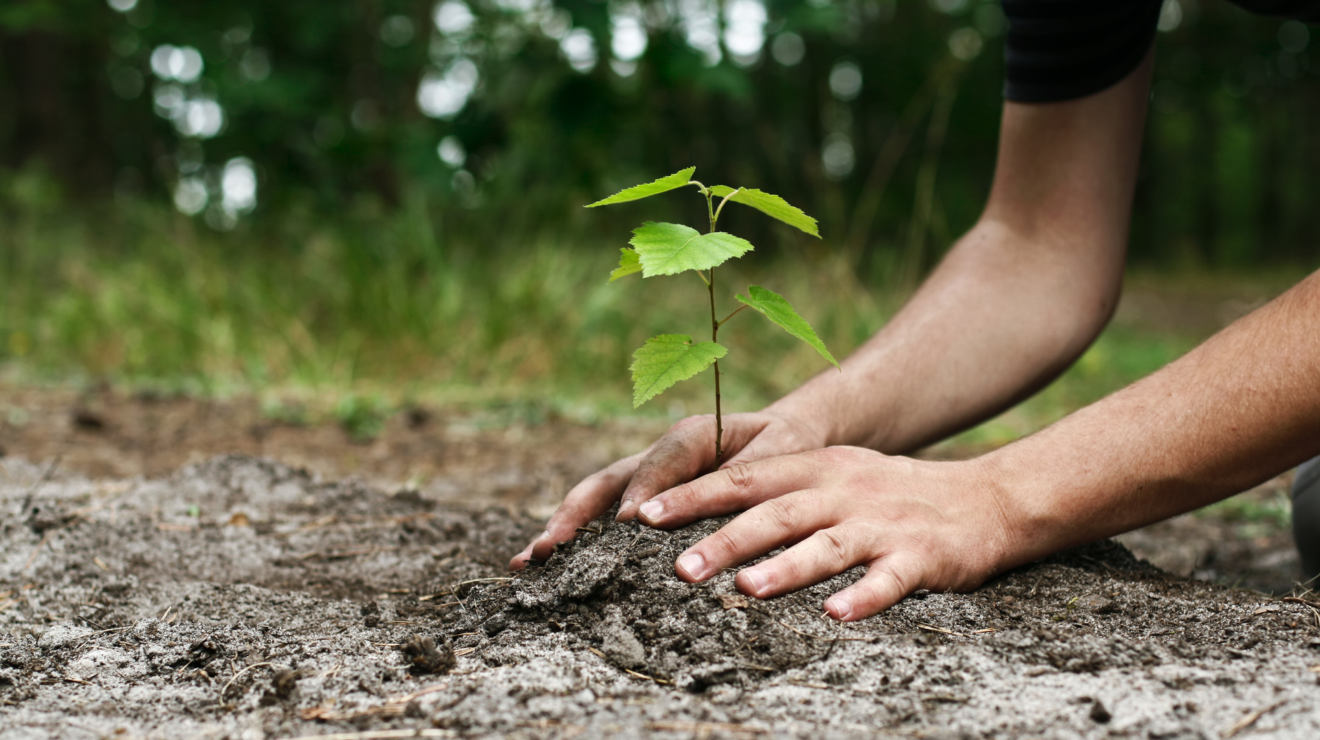 Getty Images 182177010