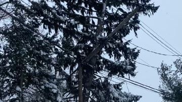 Fl Em Cc A Xo Acik Da 63ac984ba800f