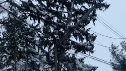 Fl Em Cc A Xo Acik Da 63ac984ba800f Fl Em Cc A Xo Acik Da 63ac984ba800f