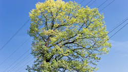 Getty Images 486072853 63976be602eb6 Getty Images 486072853 63976be602eb6